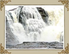 Pochera Waterfalls Adilabad