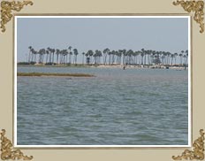 Pulicat Lake Nellore