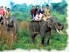 Kaziranga National Park, Assam