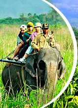 Tourism in Assam