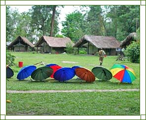 Eco Camp