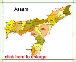 Assam Map