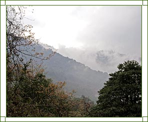 Tezpur Weather