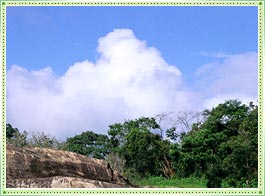 Bodh Gaya Weather