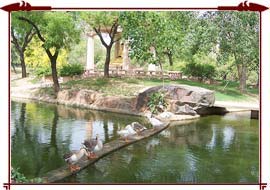 Buddha Garden Delhi