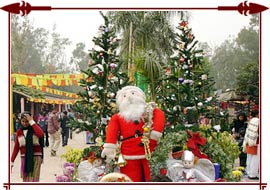 Christmas in Delhi