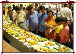 International Mango Festival Delhi