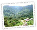 Assam Hill Stations