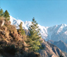 Himachal Pradesh