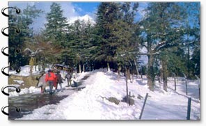 Trekking at Kufri, Shimla