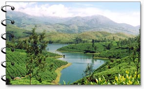 Munnar Hills, Kerala