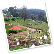 Ooty, Tamilnadu