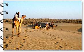 Rajasthan Camel Safari Tour