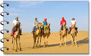 Rajasthan Safari Tour