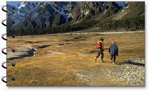 Yumthang Valley, Sikkim