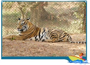 Bhagwan Mahavir Wildlife Sanctuary