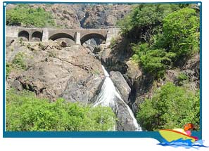 Dudhsagar Waterfalls Goa