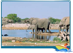 Wildlife Sanctuaries in Goa