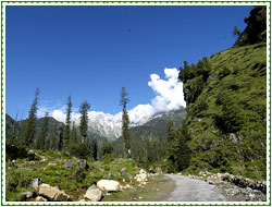 Himachal Pradesh Tours