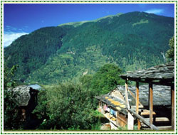 Manali