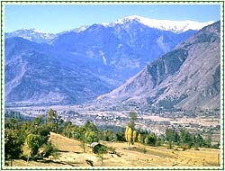 Naggar