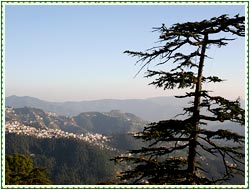 Shimla Summer Hill