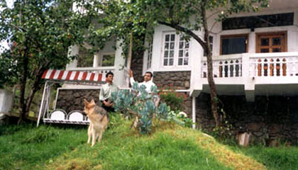 Winter Green Cottages