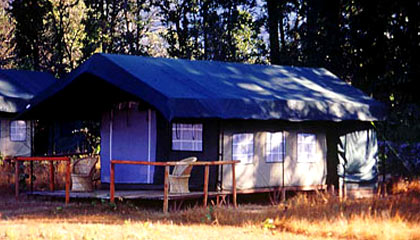 Camp Forktail Creek