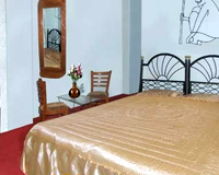 Guest Room - Hotel Teerth Palace