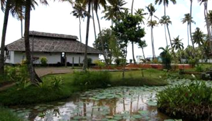 Privacy At Sanctuary Bay