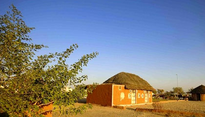 Bishnoi Village Camp and Resort