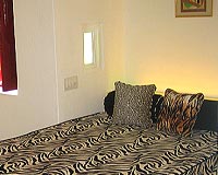 Guest Room - The Tiger