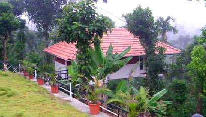 Glenora Home Stay