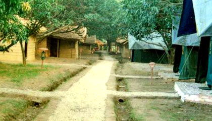 Corbett Nature Camp