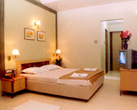 Premium Room - Hotel Girivihar