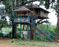 Tree House - Hornbill River Resort