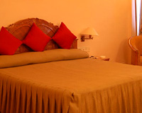 Guest Room - Hotel Chanakya