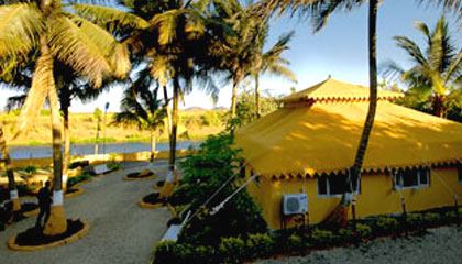 Lion Safari Camp