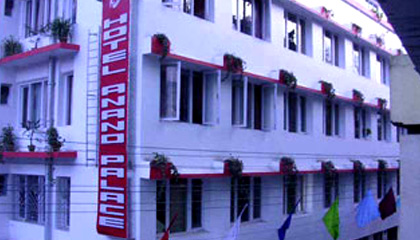 Hotel Anand Palace