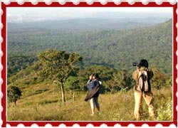 Things to Do in Bandipur