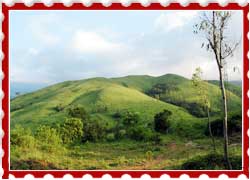 Kudremukh National Park Karnataka