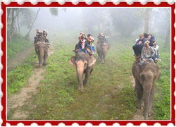 Things to Do in Coorg
