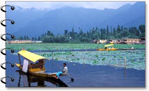 Srinagar Tours