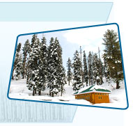 Kashmir Snow