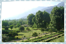 Harwan Garden in Kashmir