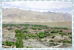 Leh City