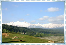 Yusmarg in Kashmir
