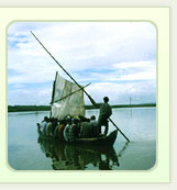 Kerala Backwaters