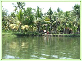 Cochin Backwaters