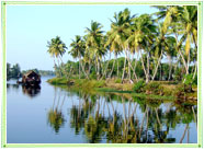 Backwaters in Kerala